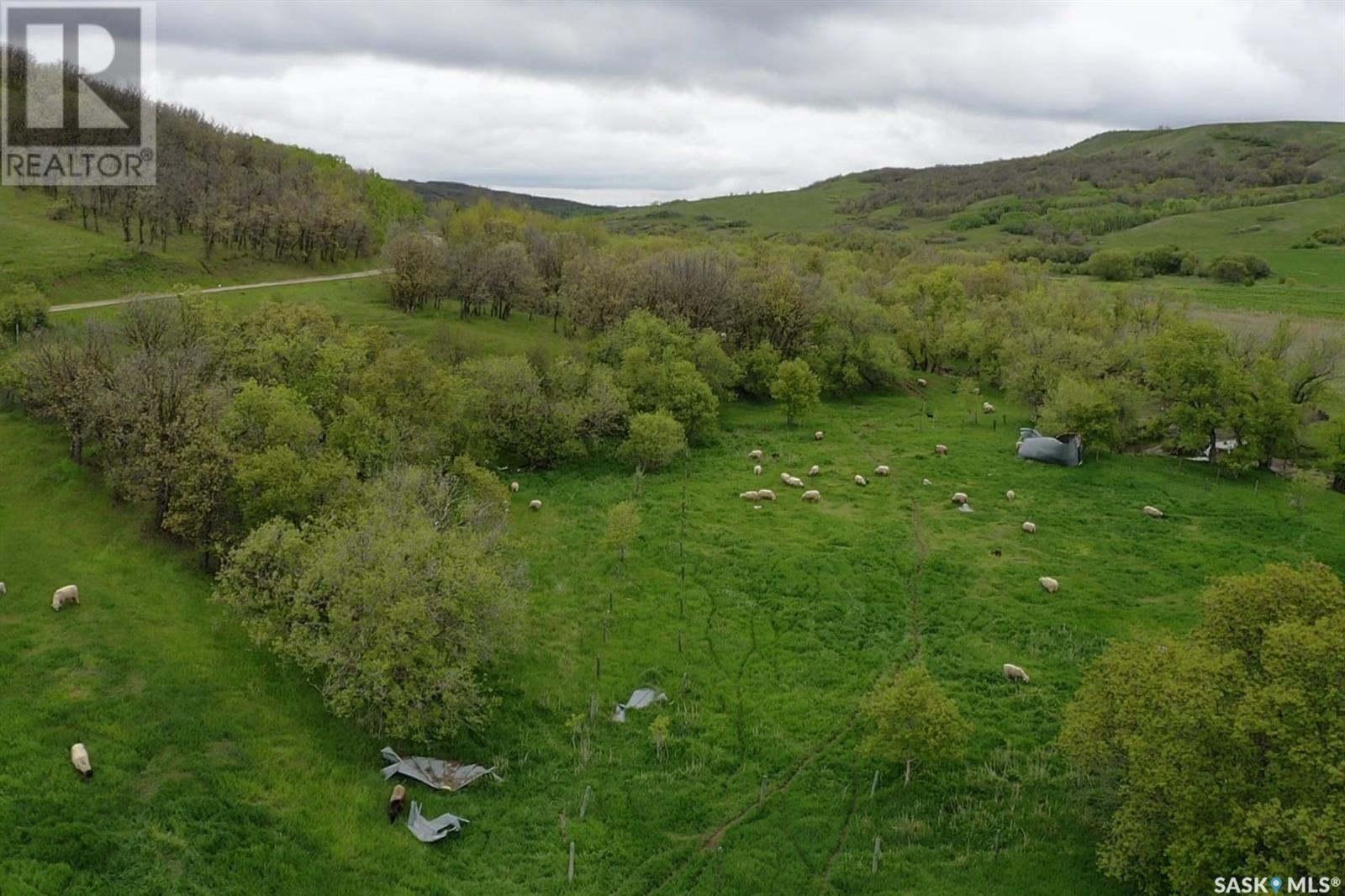 Kaposvar Creek Farm, Spy Hill Rm No. 152, Saskatchewan  S0A 4B0 - Photo 31 - SK987416