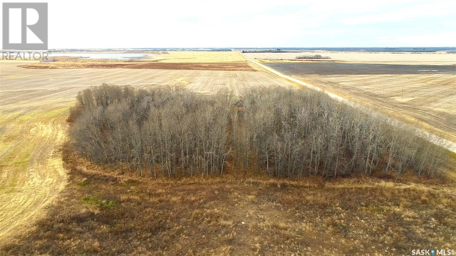 158 Acres Nw-10-41-19-W2, Lake Lenore Rm No. 399, Saskatchewan  S0K 2G0 - Photo 14 - SK987344