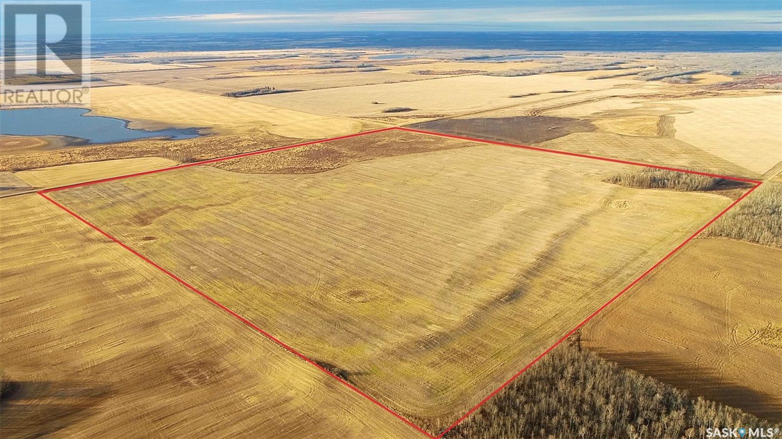 158 Acres Nw-10-41-19-W2, Lake Lenore Rm No. 399, Saskatchewan  S0K 2G0 - Photo 18 - SK987344