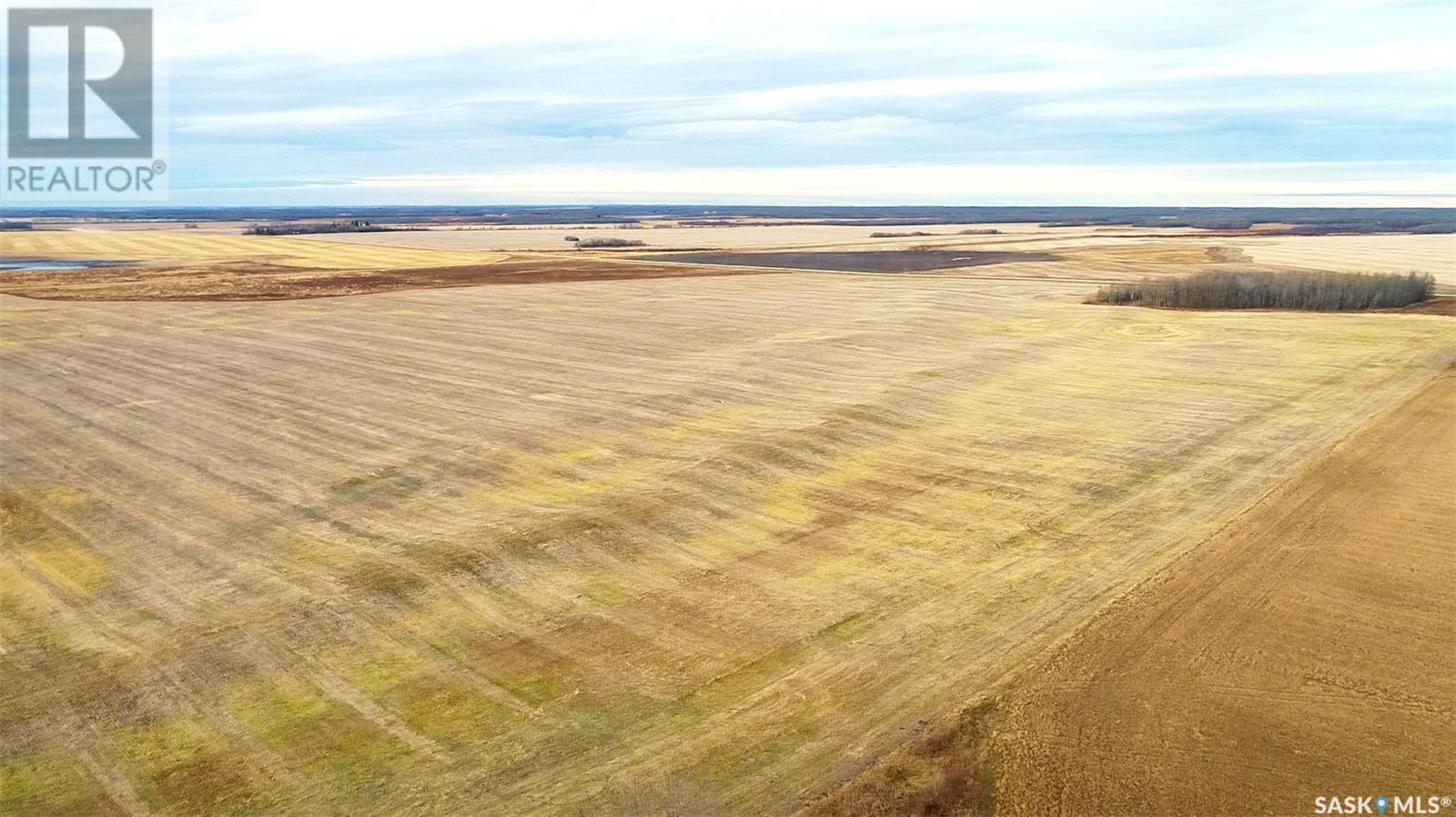 158 Acres Nw-10-41-19-W2, Lake Lenore Rm No. 399, Saskatchewan  S0K 2G0 - Photo 19 - SK987344