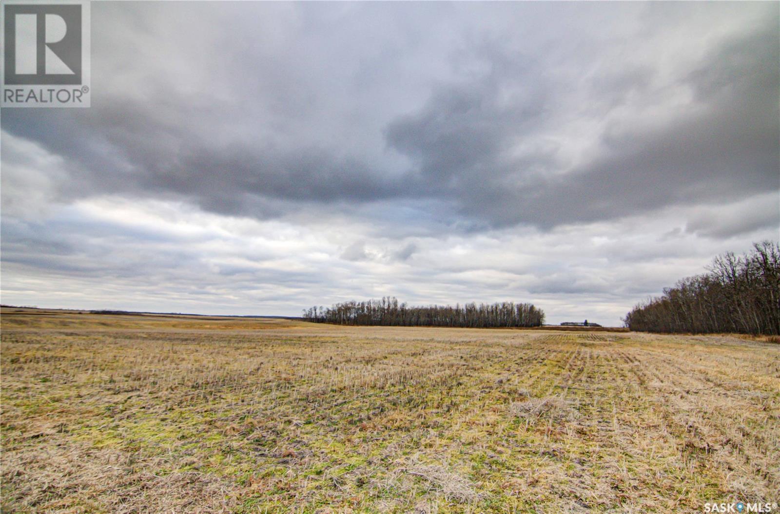 158 Acres Nw-10-41-19-W2, Lake Lenore Rm No. 399, Saskatchewan  S0K 2G0 - Photo 2 - SK987344