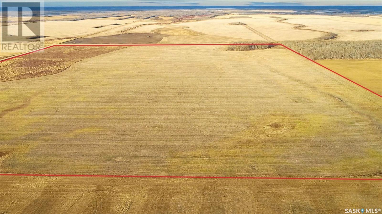 158 Acres Nw-10-41-19-W2, Lake Lenore Rm No. 399, Saskatchewan  S0K 2G0 - Photo 21 - SK987344