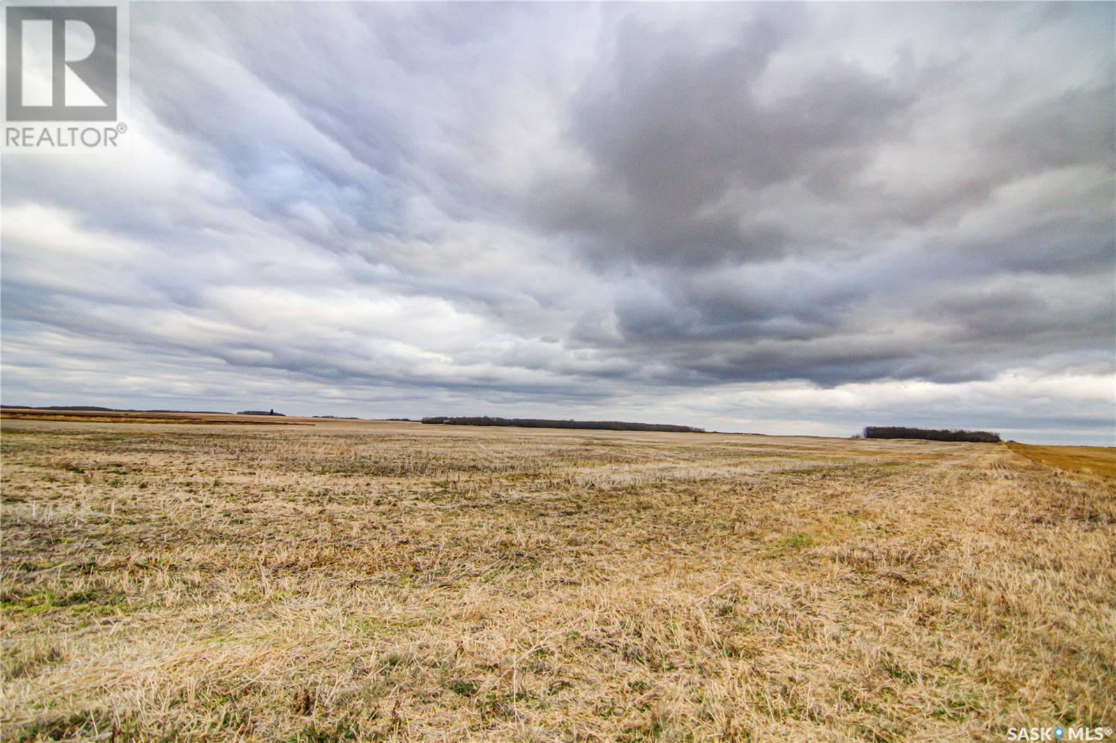 158 Acres Nw-10-41-19-W2, Lake Lenore Rm No. 399, Saskatchewan  S0K 2G0 - Photo 6 - SK987344