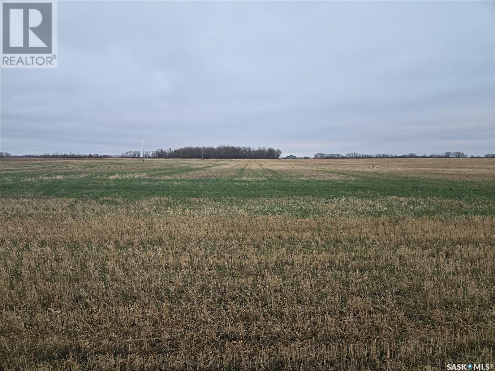 Keyowski Farm, Sliding Hills Rm No. 273, Saskatchewan  S0A 0L0 - Photo 2 - SK988277