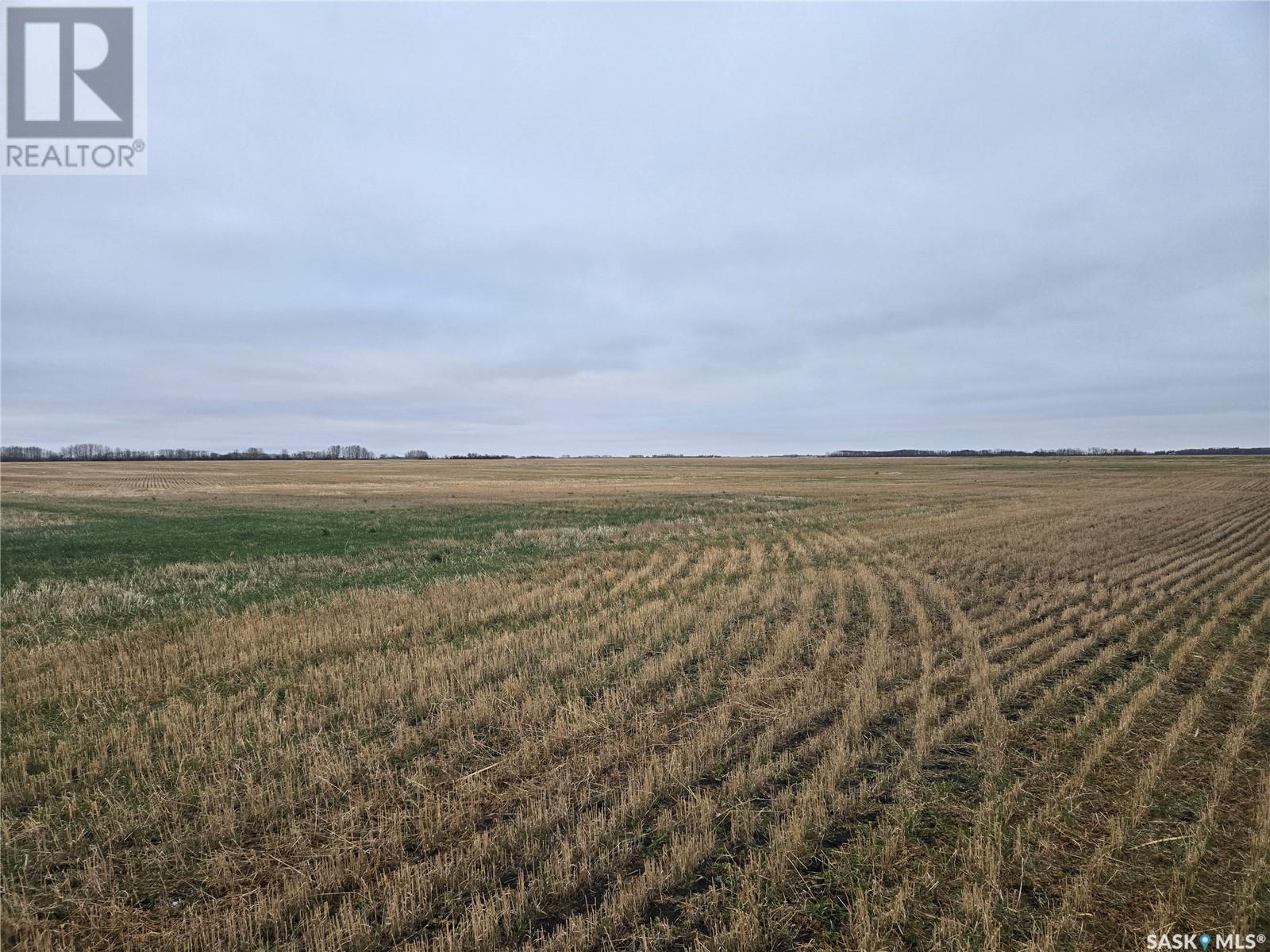 Keyowski Farm, Sliding Hills Rm No. 273, Saskatchewan  S0A 0L0 - Photo 3 - SK988277