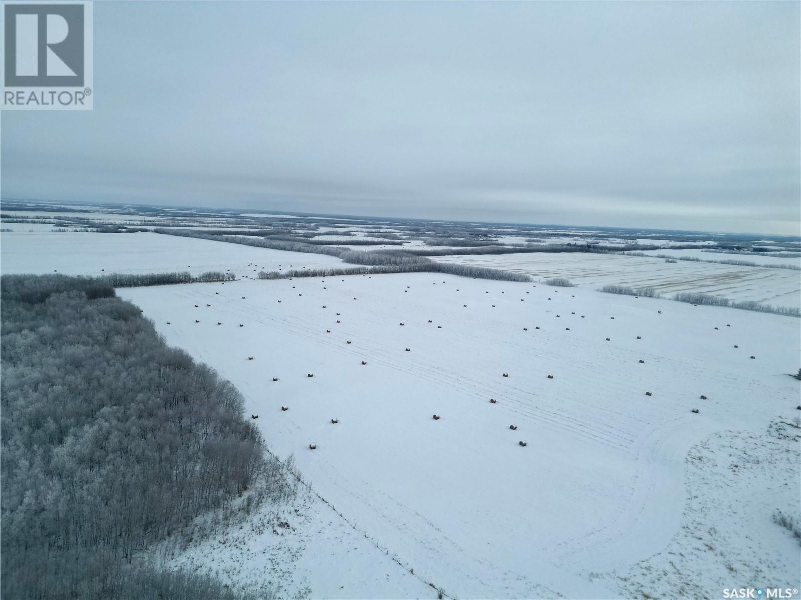 Mcnabb Land, Round Hill Rm No. 467, Saskatchewan  S0M 1W0 - Photo 3 - SK990831