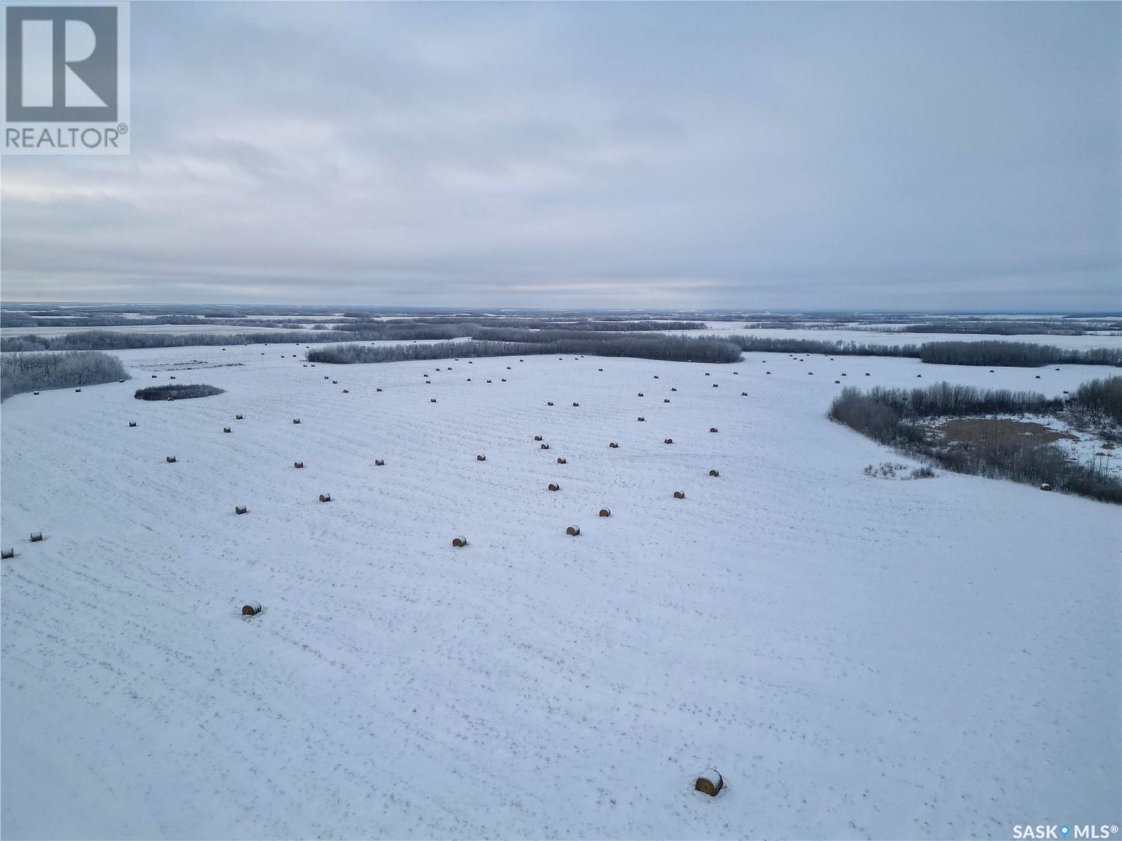 Mcnabb Land, Round Hill Rm No. 467, Saskatchewan  S0M 1W0 - Photo 5 - SK990831