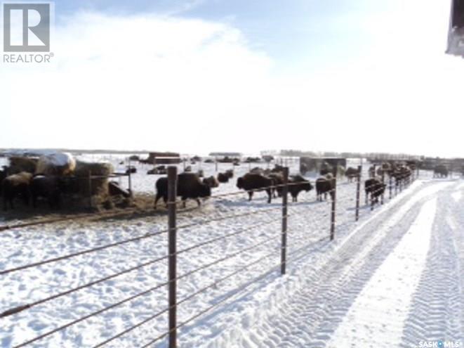 Pressacco Farm, Ponass Lake Rm No. 367, Saskatchewan  S0E 1M0 - Photo 4 - SK990858