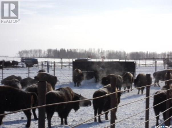 Pressacco Farm, Ponass Lake Rm No. 367, Saskatchewan  S0E 1M0 - Photo 5 - SK990858