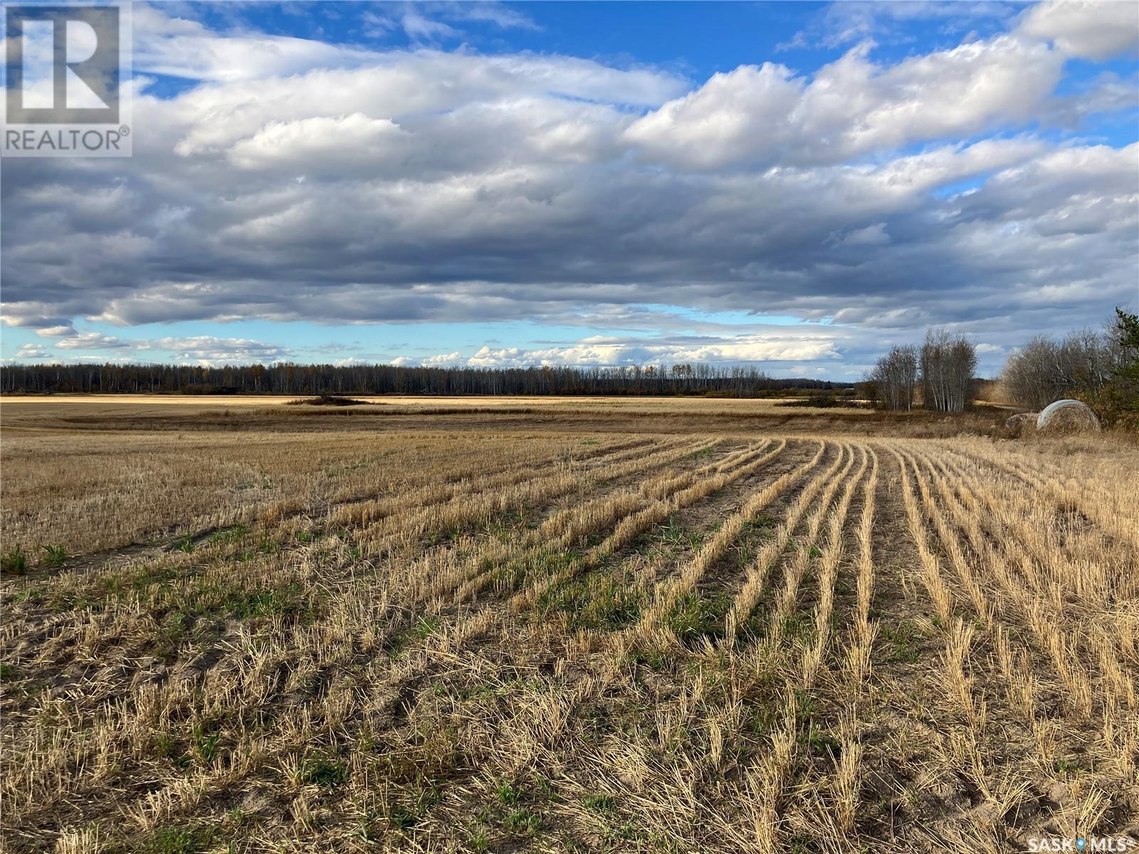 1 Quarter north-west of Choiceland NE-10-53-18-2, Torch River Rm No. 488, Saskatchewan