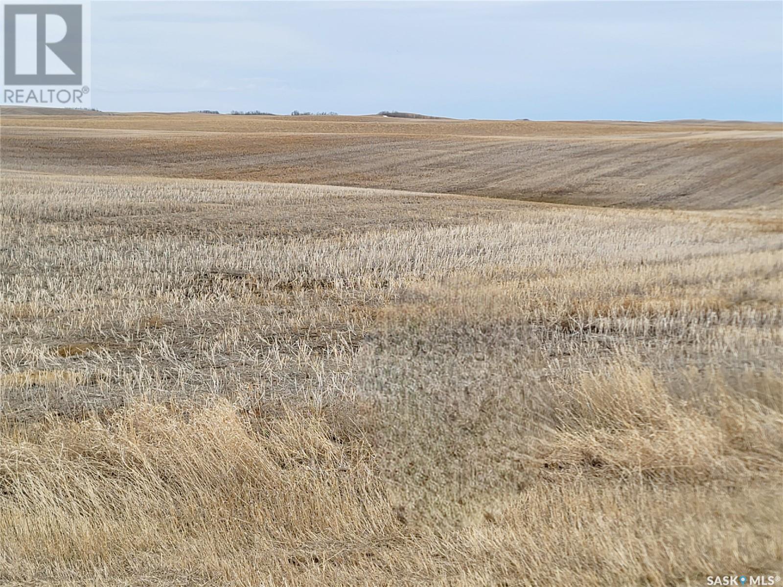 Rm Of Douglas Land, Douglas Rm No. 436, Saskatchewan  S0M 2V0 - Photo 10 - SK995709