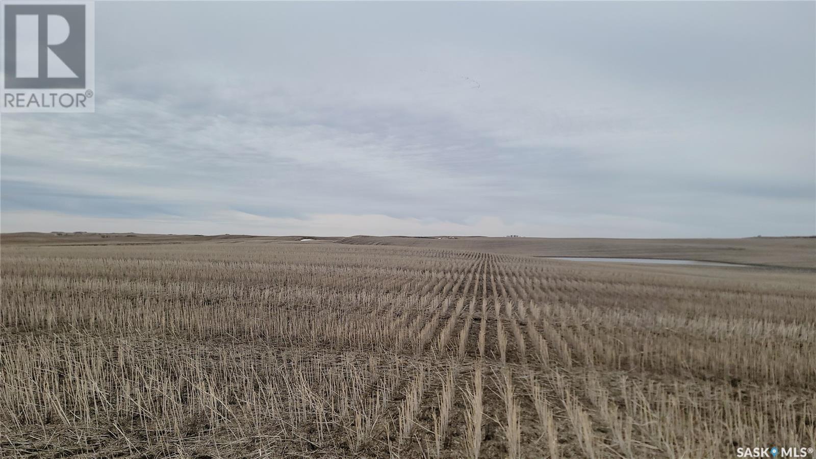 Rm Of Douglas Land, Douglas Rm No. 436, Saskatchewan  S0M 2V0 - Photo 12 - SK995709