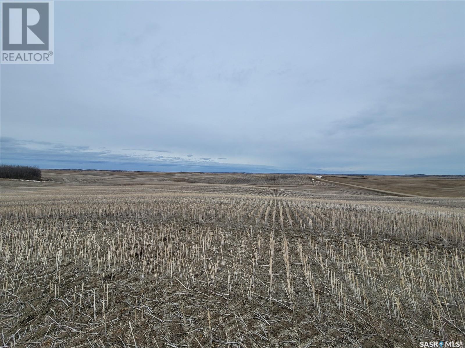 Rm Of Douglas Land, Douglas Rm No. 436, Saskatchewan  S0M 2V0 - Photo 13 - SK995709