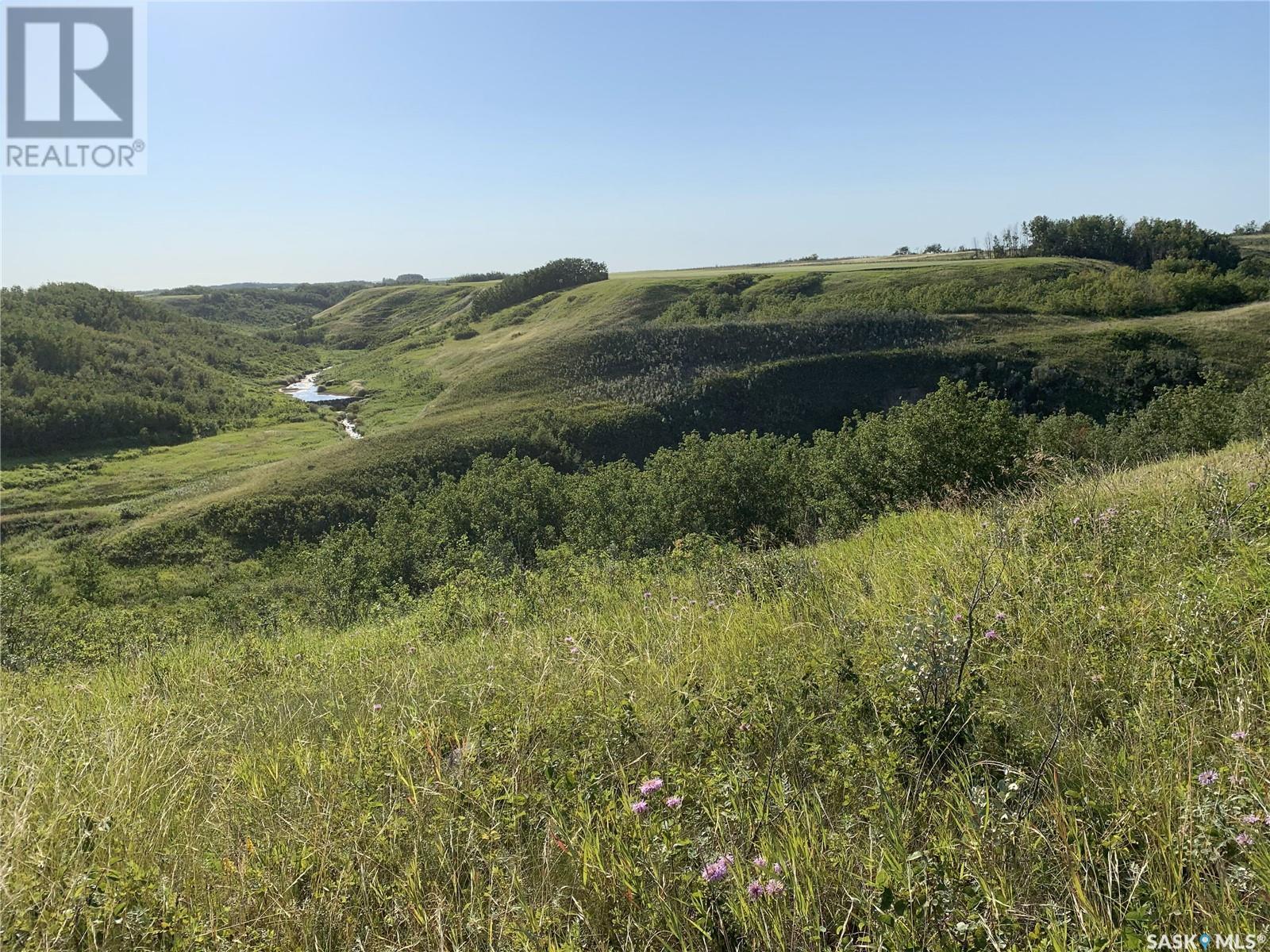 Dolezal Land, Blaine Lake Rm No. 434, Saskatchewan  S0J 0J0 - Photo 1 - SK996317