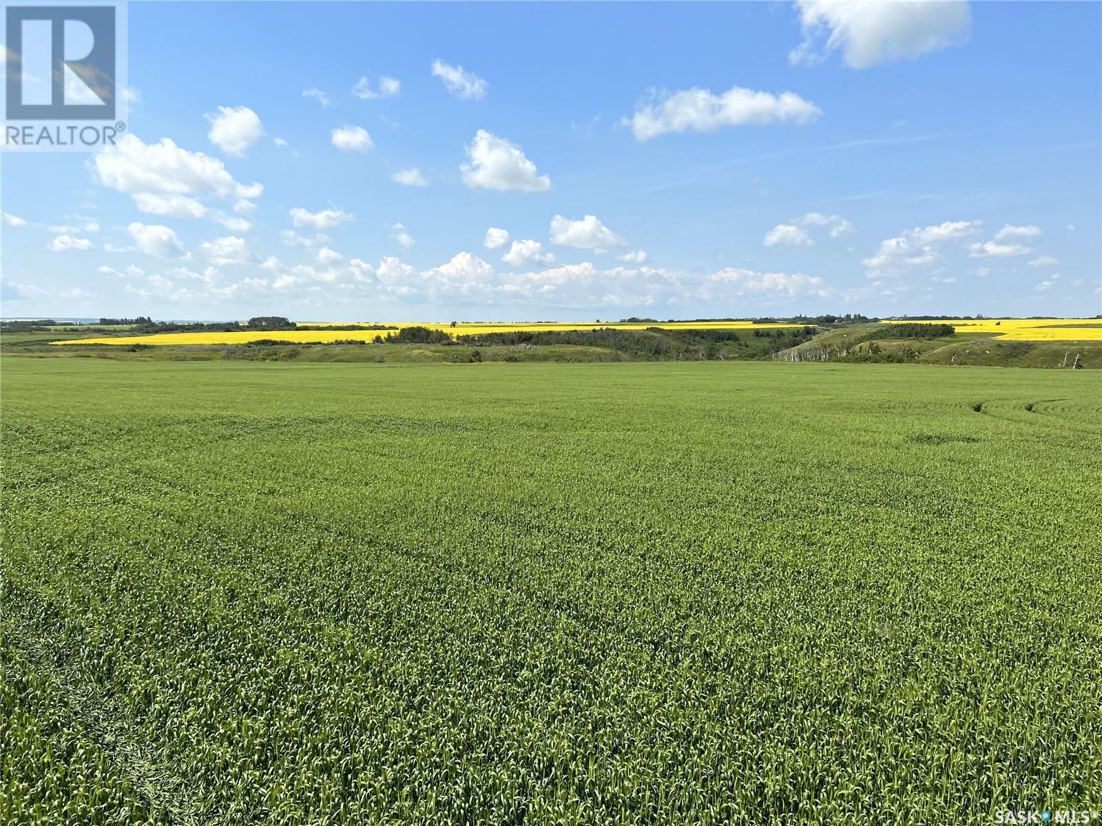 Dolezal Land, Blaine Lake Rm No. 434, Saskatchewan  S0J 0J0 - Photo 2 - SK996317