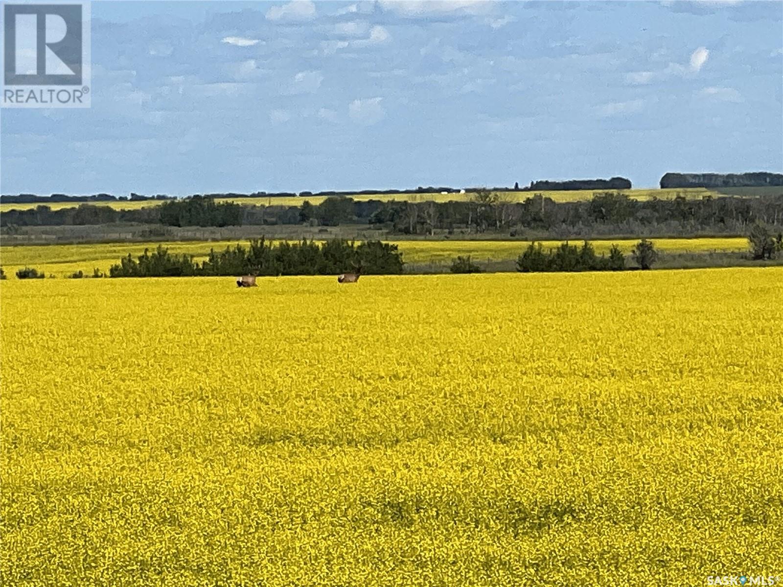 Dolezal Land, Blaine Lake Rm No. 434, Saskatchewan  S0J 0J0 - Photo 3 - SK996317
