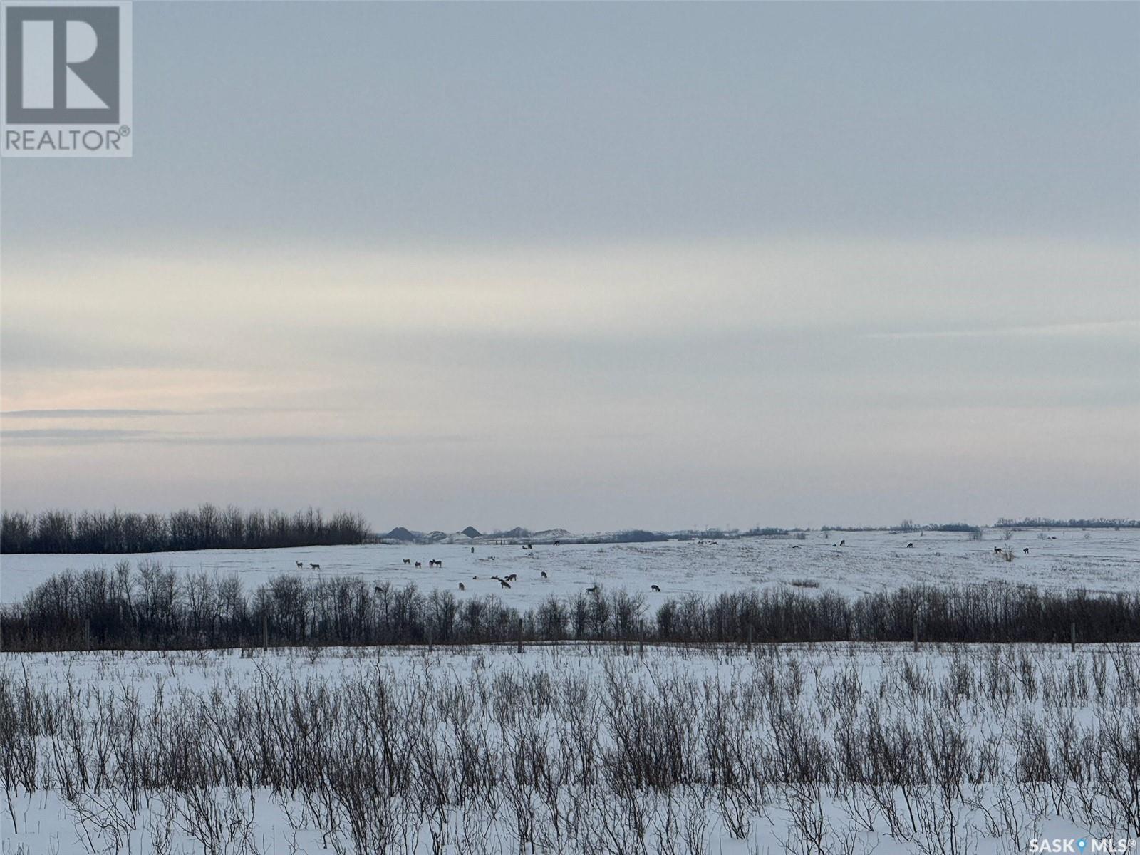 Dolezal Land, Blaine Lake Rm No. 434, Saskatchewan  S0J 0J0 - Photo 4 - SK996317
