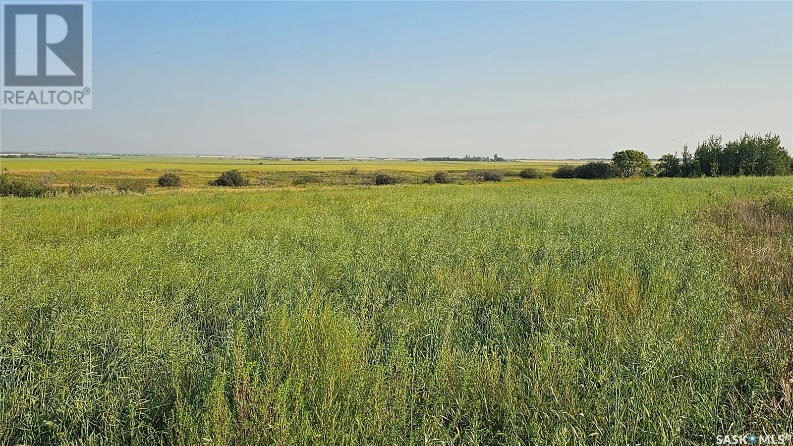 Highway #41 Land, Corman Park Rm No. 344, Saskatchewan  S7K 3J9 - Photo 8 - SK000196