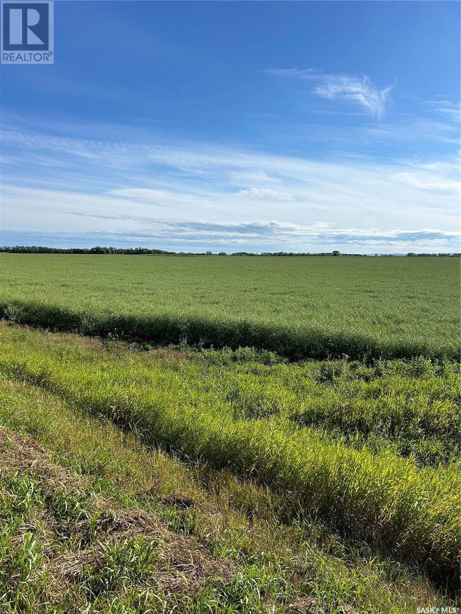 Strelioff Land, Keys Rm No. 303, Saskatchewan  S0A 4H0 - Photo 4 - SK001720
