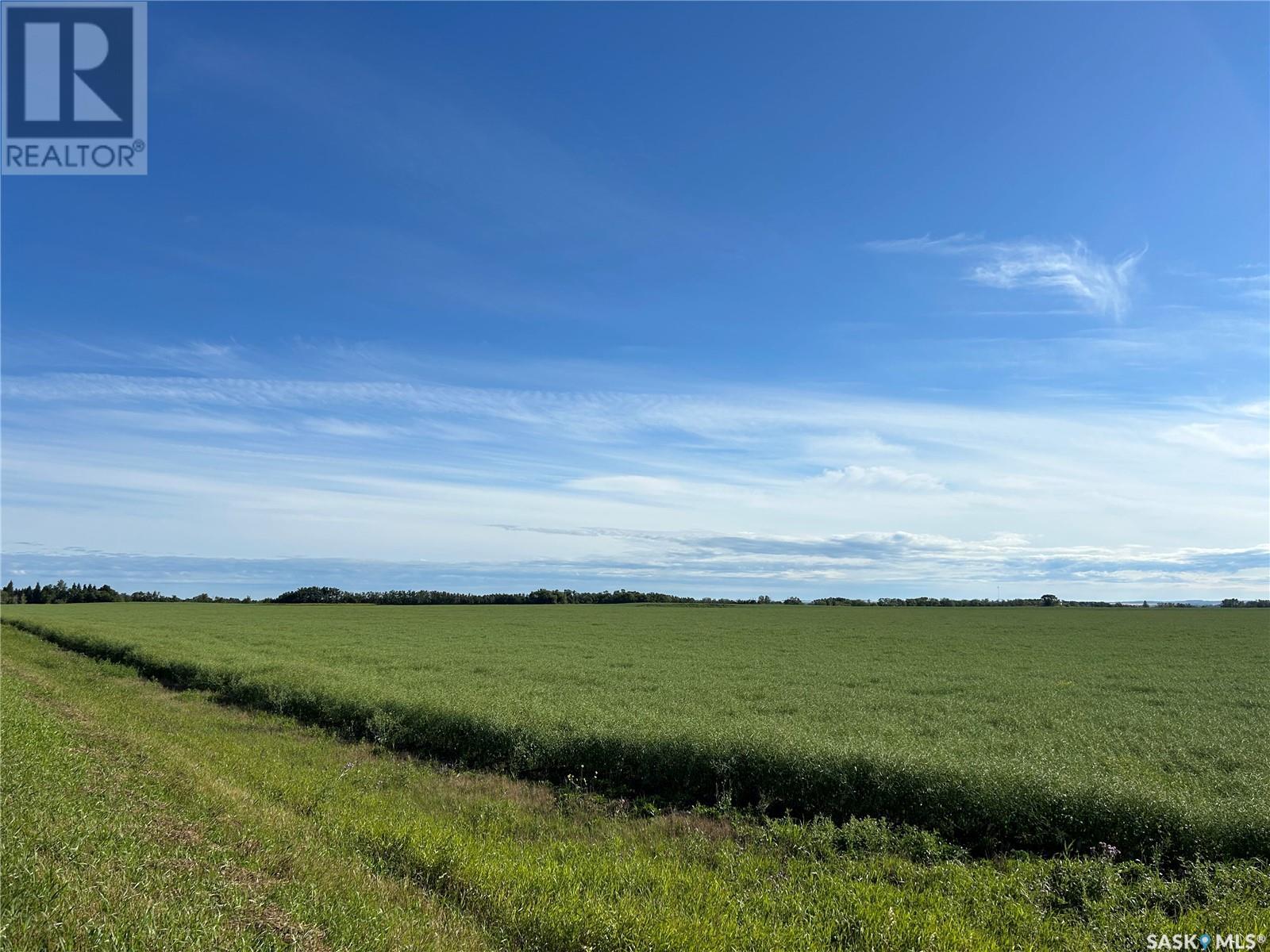 Strelioff Land, Keys Rm No. 303, Saskatchewan  S0A 4H0 - Photo 5 - SK001720