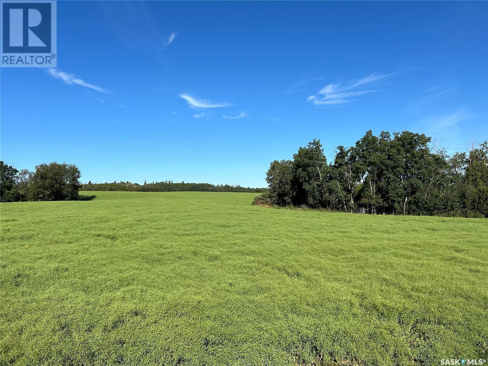 Strelioff Land, Keys Rm No. 303, Saskatchewan  S0A 4H0 - Photo 6 - SK001720