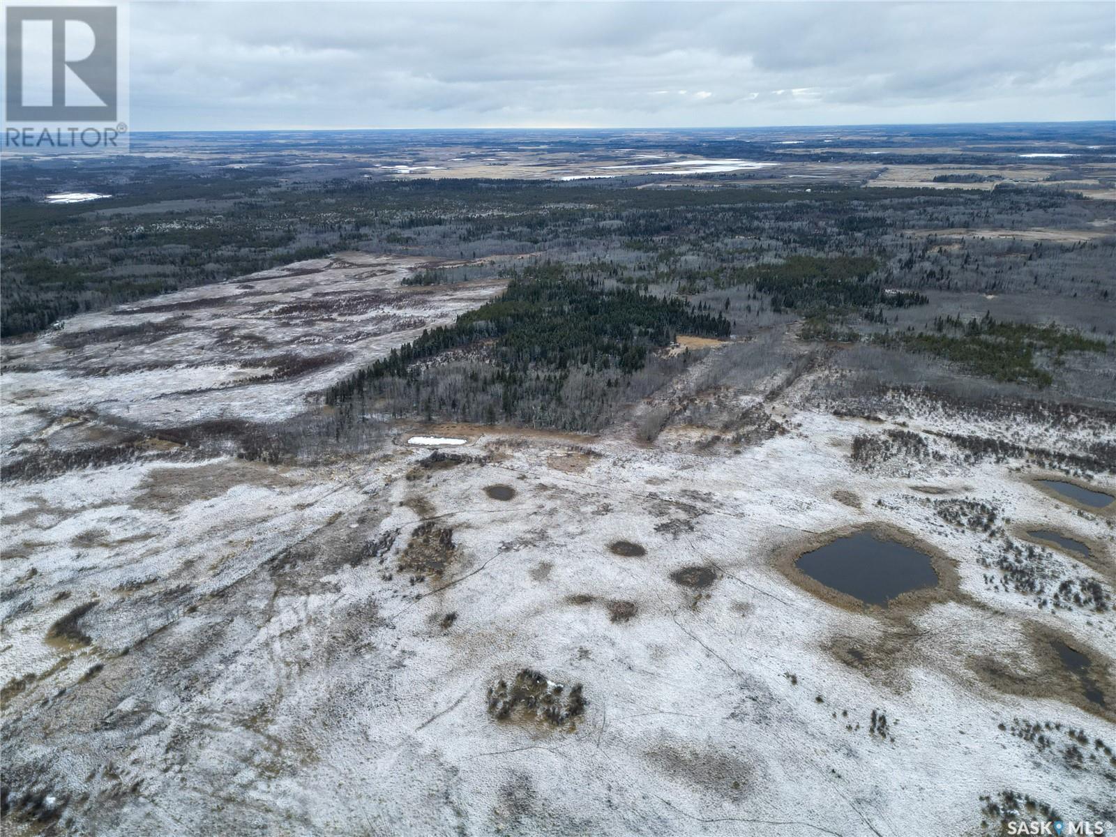 Whitestar Farmland, Buckland Rm No. 491, Saskatchewan  S6V 0A1 - Photo 11 - SK003093