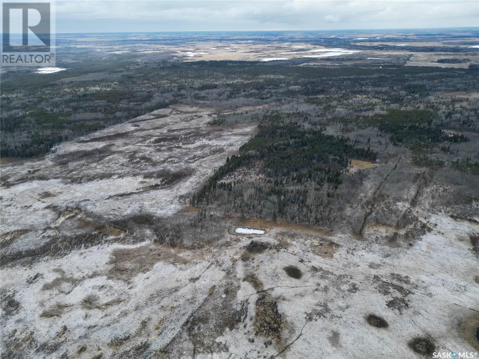 Whitestar Farmland, Buckland Rm No. 491, Saskatchewan  S6V 0A1 - Photo 6 - SK003093