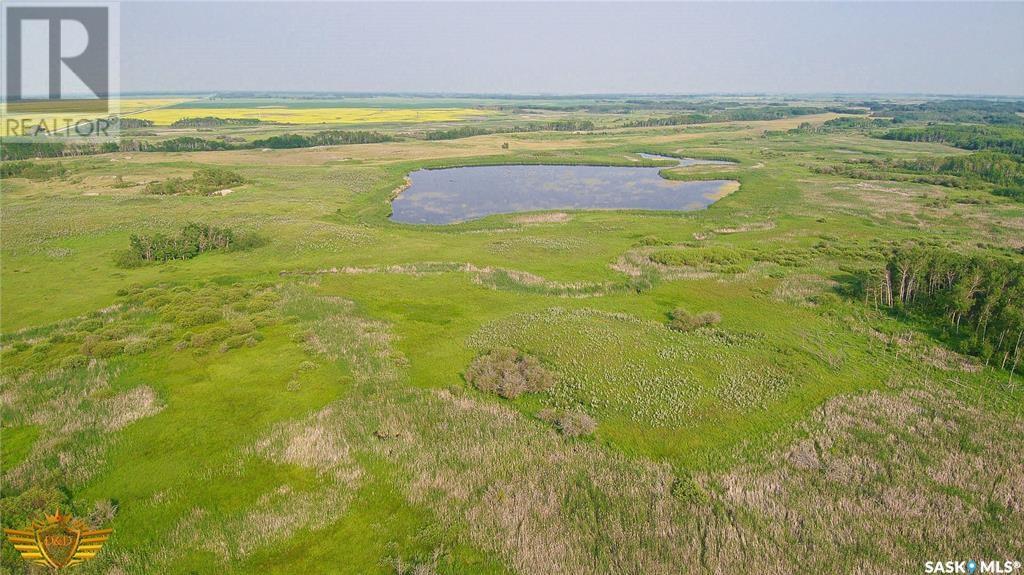 Rm Of Walpole N0.92 Pasture Quarter, Walpole Rm No. 92, Saskatchewan  S0G 5A0 - Photo 10 - SK003773