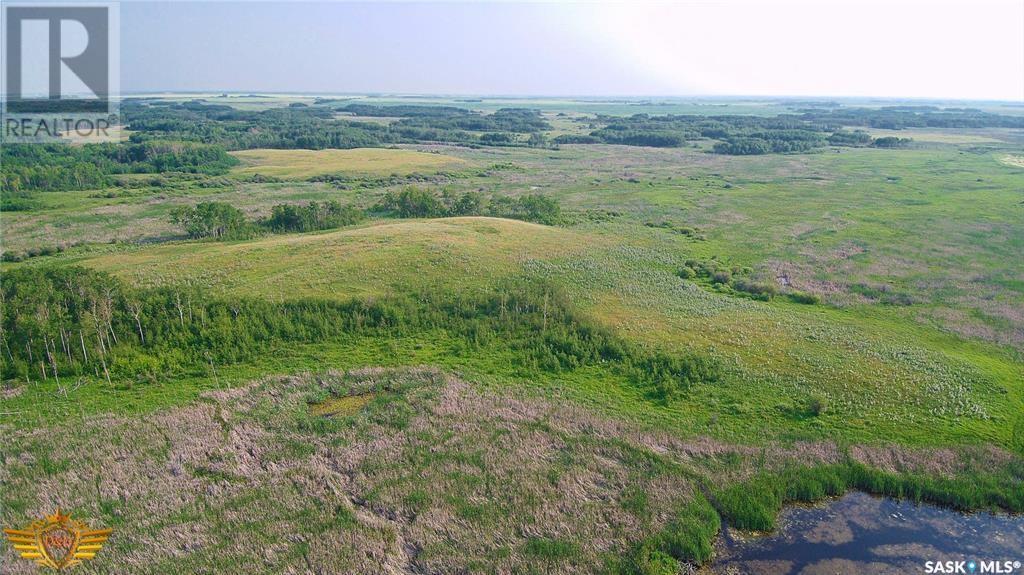 Rm Of Walpole N0.92 Pasture Quarter, Walpole Rm No. 92, Saskatchewan  S0G 5A0 - Photo 4 - SK003773