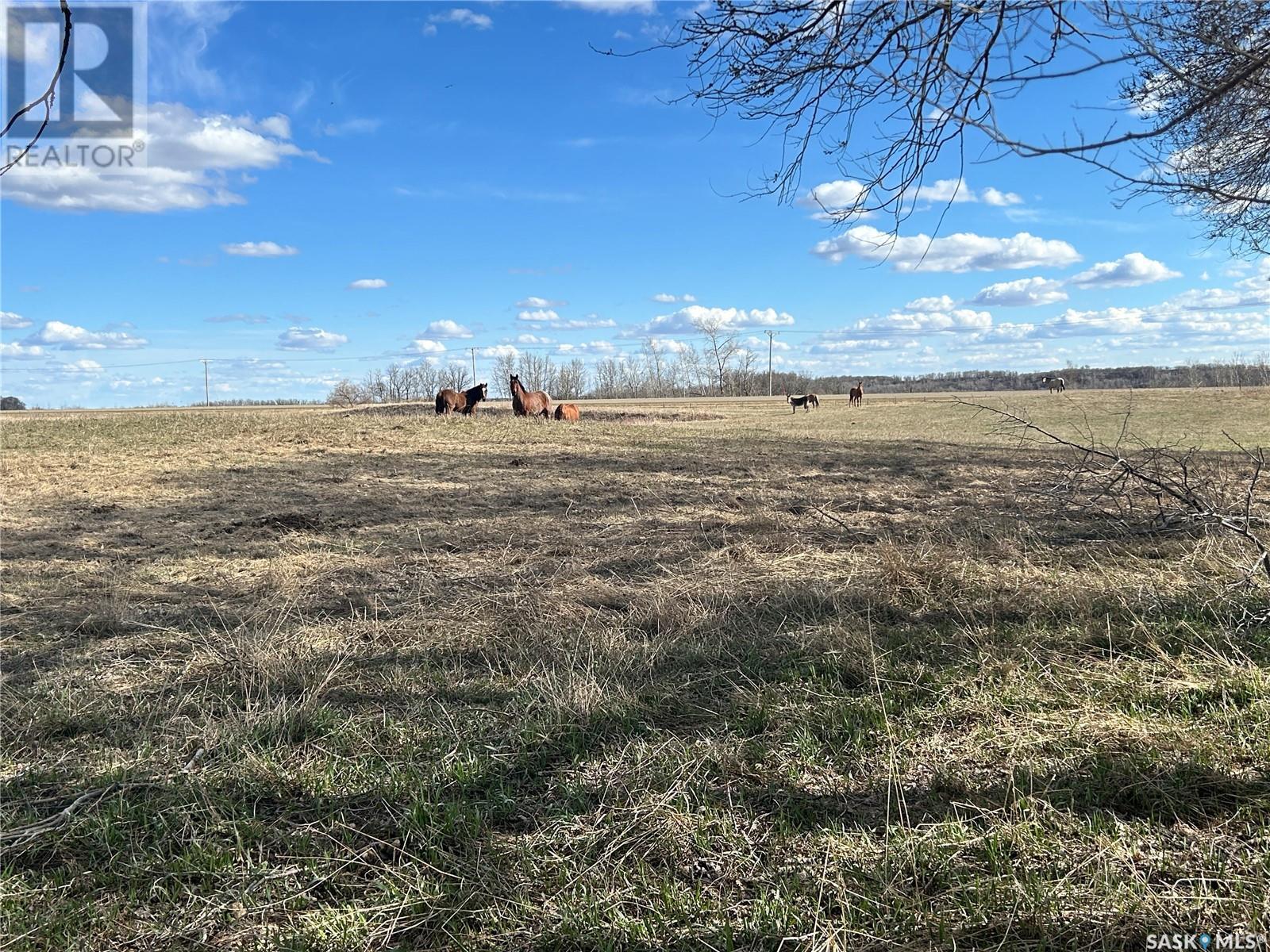 Hazel Cliff Ranch, Spy Hill Rm No. 152, Saskatchewan  S0A 2A0 - Photo 15 - SK004301