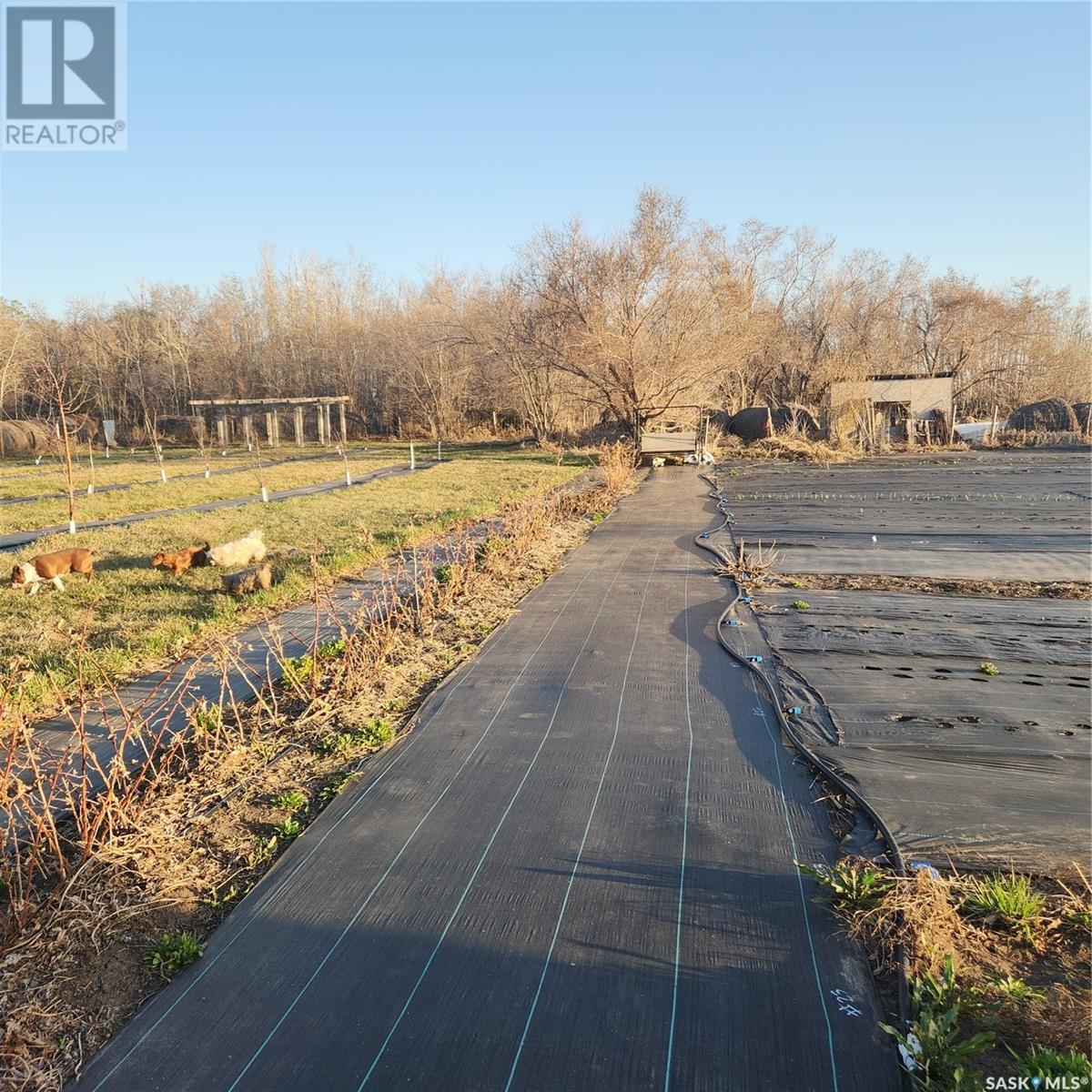 Winterfell Farm, Lipton Rm No. 217, Saskatchewan  S0G 1S0 - Photo 15 - SK004556