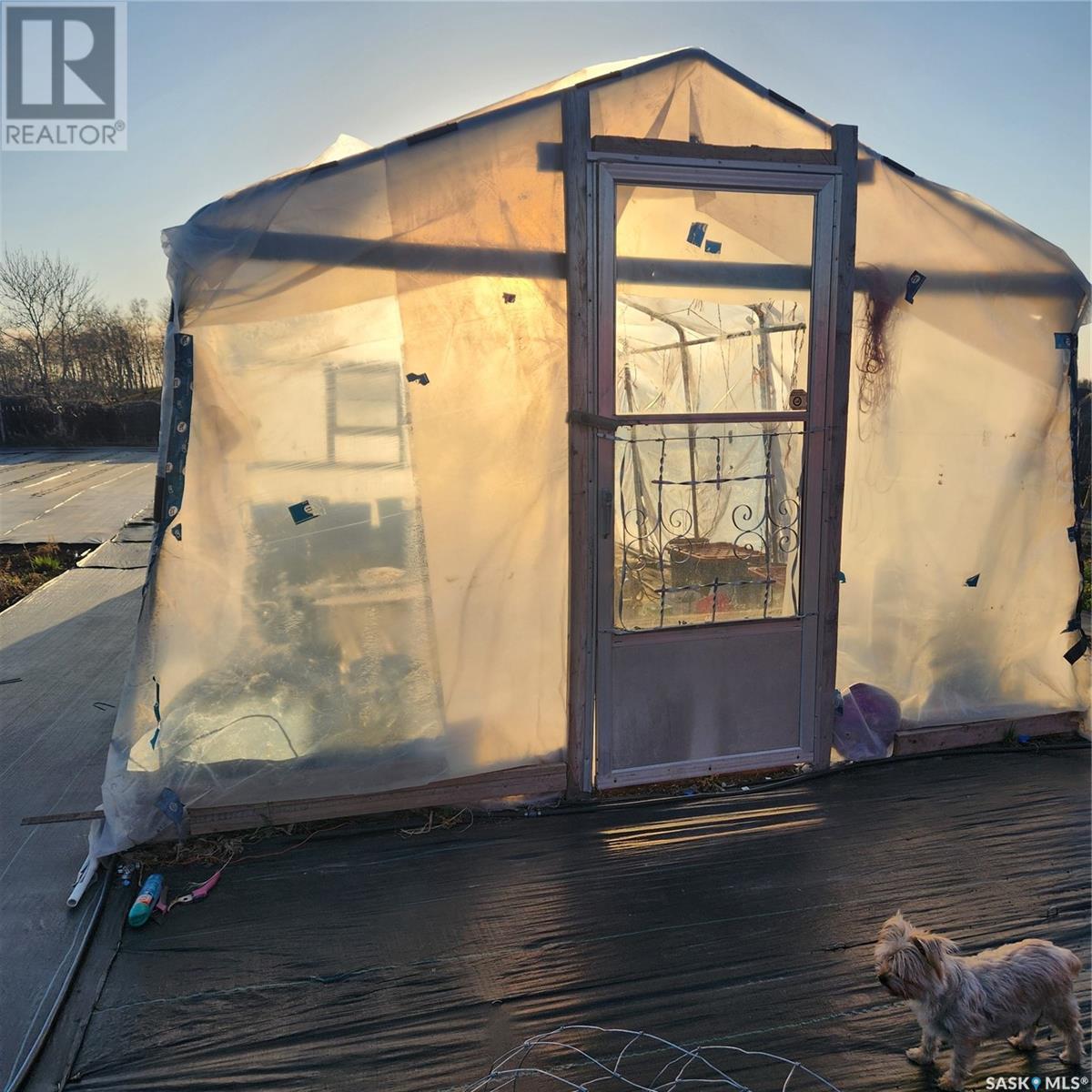 Winterfell Farm, Lipton Rm No. 217, Saskatchewan  S0G 1S0 - Photo 17 - SK004556