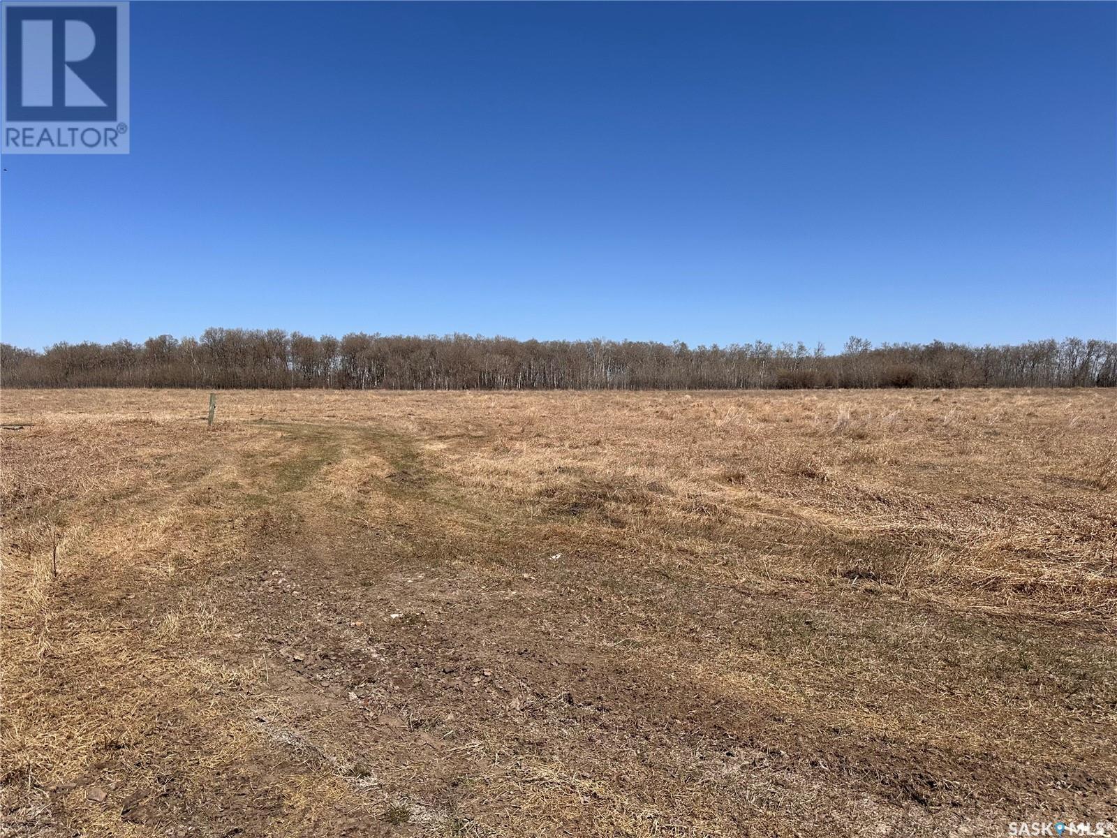 Winterfell Farm, Lipton Rm No. 217, Saskatchewan  S0G 1S0 - Photo 6 - SK004556