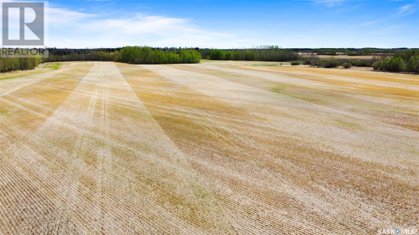 Rivney Mixed Quarter - Norquay, Keys Rm No. 303, Saskatchewan  S0A 0G2 - Photo 10 - SK006182