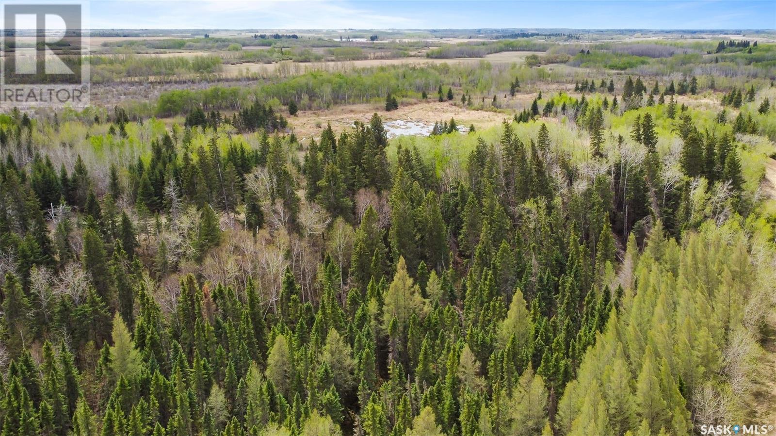 Rivney Mixed Quarter - Norquay, Keys Rm No. 303, Saskatchewan  S0A 0G2 - Photo 12 - SK006182
