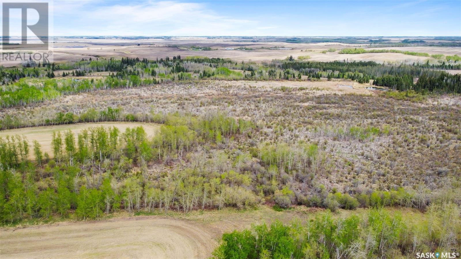 Rivney Mixed Quarter - Norquay, Keys Rm No. 303, Saskatchewan  S0A 0G2 - Photo 5 - SK006182