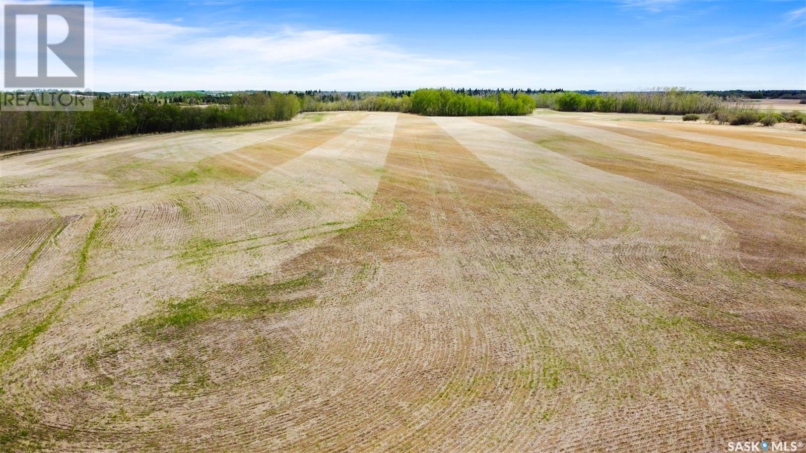 Rivney Mixed Quarter - Norquay, Keys Rm No. 303, Saskatchewan  S0A 0G2 - Photo 8 - SK006182