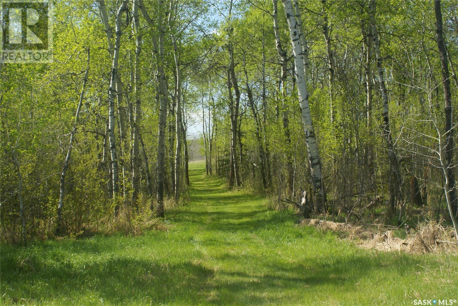 Pitt Farm & Recreation Retreat, Preeceville Rm No. 334, Saskatchewan  S0A 3B0 - Photo 26 - SK006537