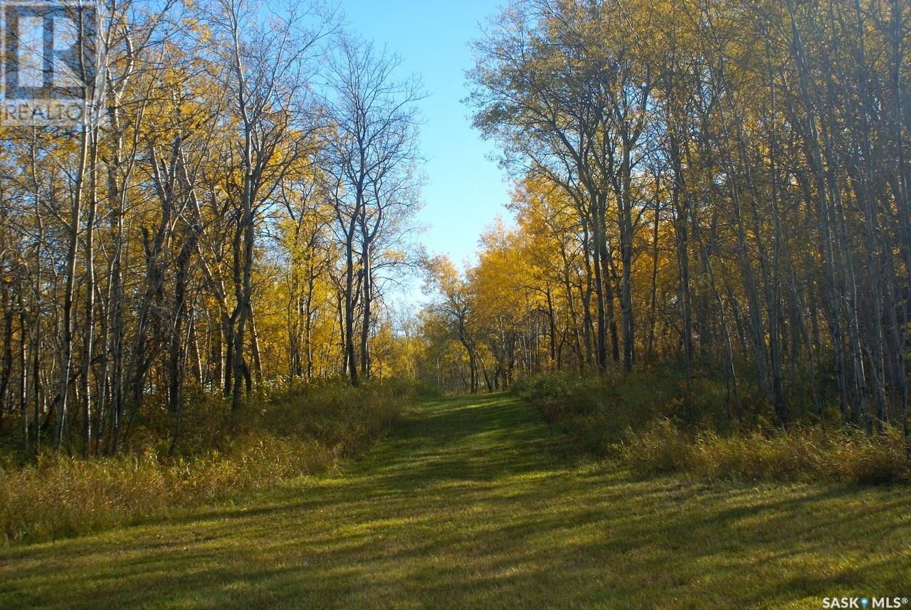 Pitt Farm & Recreation Retreat, Preeceville Rm No. 334, Saskatchewan  S0A 3B0 - Photo 27 - SK006537