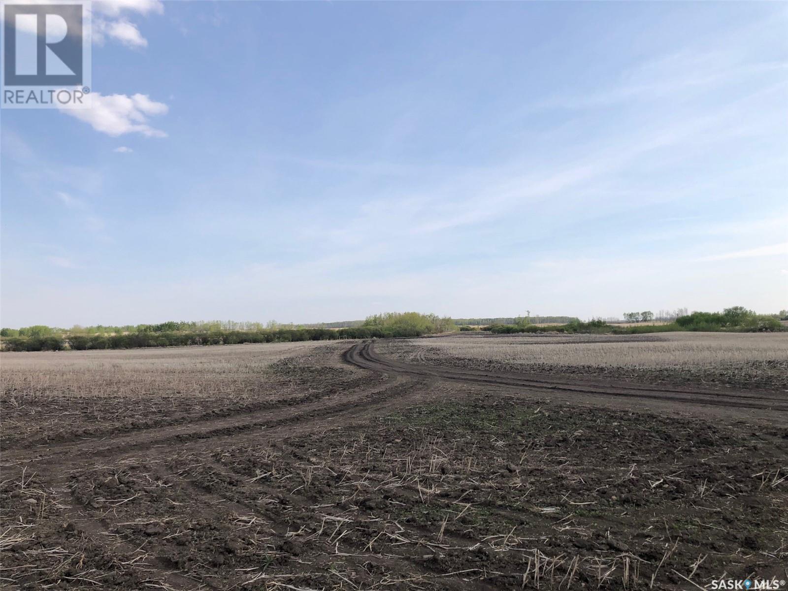 Flower Farm, Sasman Rm No. 336, Saskatchewan  S0A 2H0 - Photo 11 - SK007194