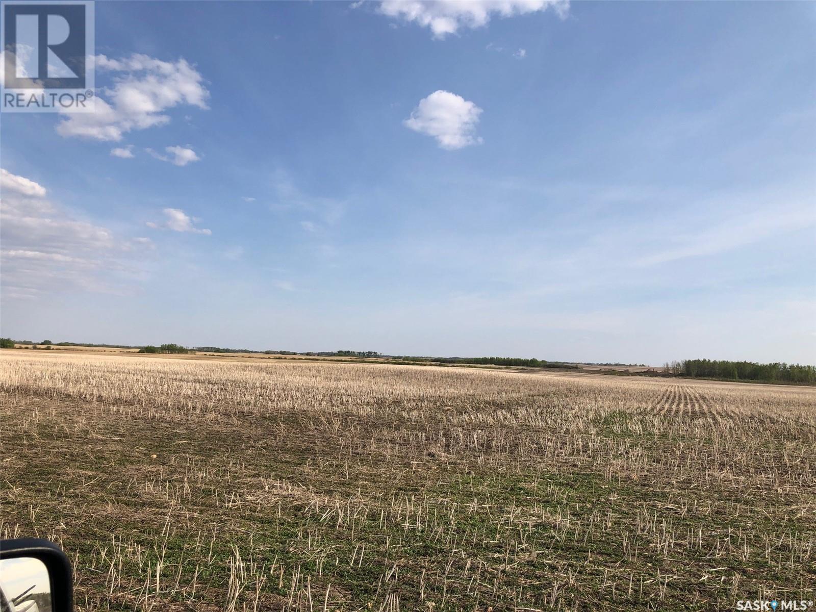 Flower Farm, Sasman Rm No. 336, Saskatchewan  S0A 2H0 - Photo 16 - SK007194