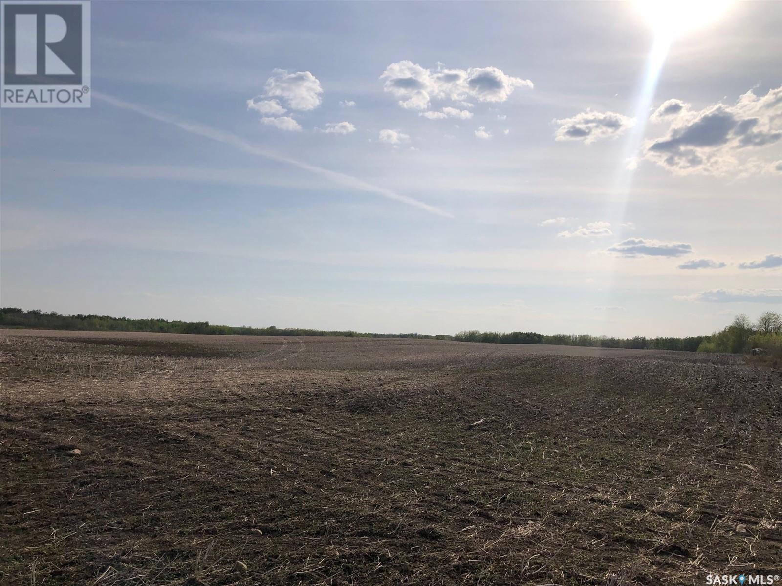 Flower Farm, Sasman Rm No. 336, Saskatchewan  S0A 2H0 - Photo 18 - SK007194