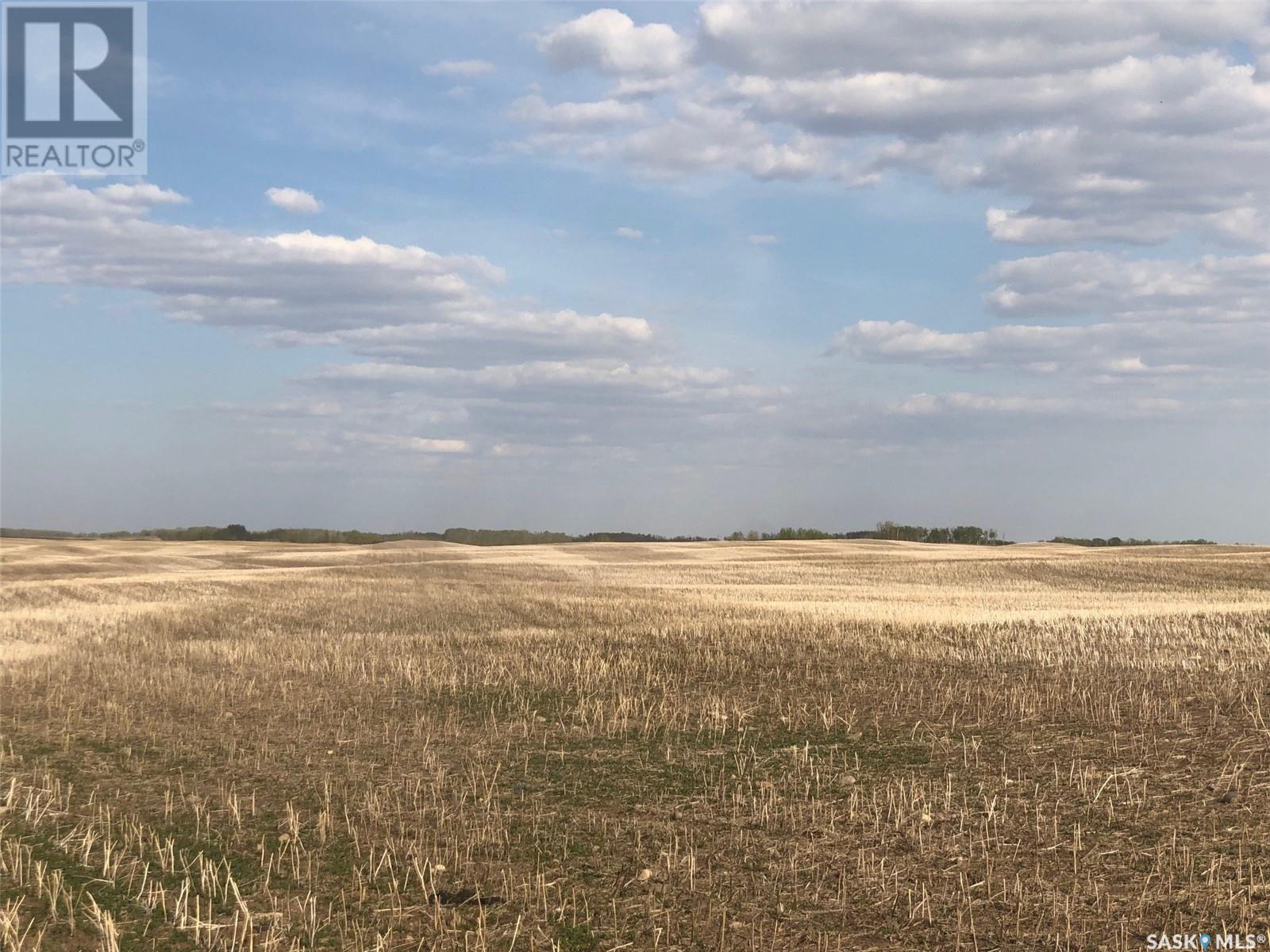 Flower Farm, Sasman Rm No. 336, Saskatchewan  S0A 2H0 - Photo 24 - SK007194