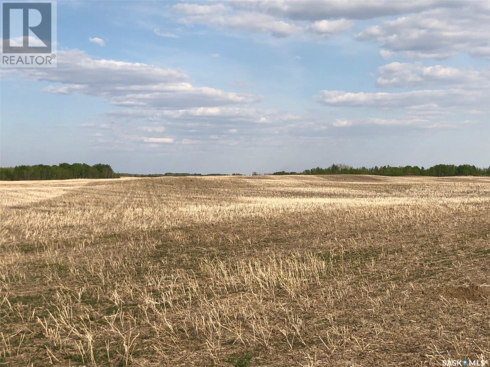 Flower Farm, Sasman Rm No. 336, Saskatchewan  S0A 2H0 - Photo 26 - SK007194