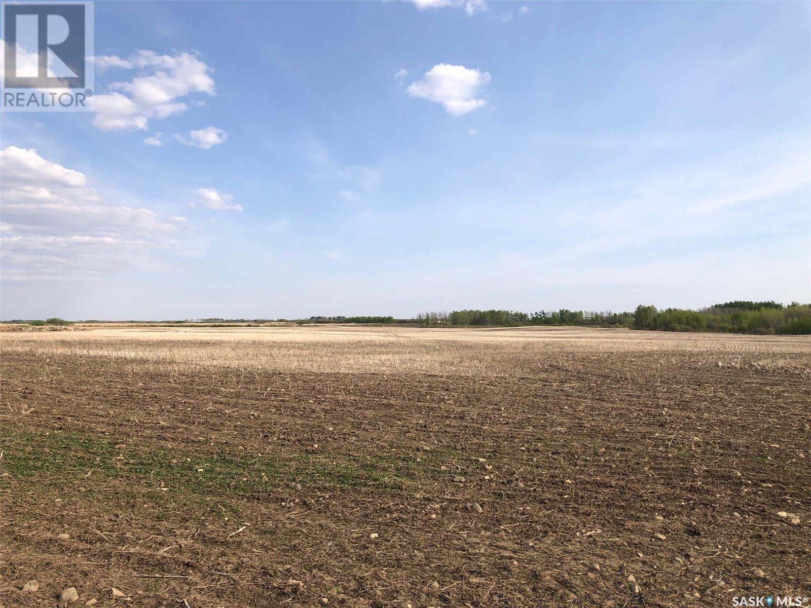 Flower Farm, Sasman Rm No. 336, Saskatchewan  S0A 2H0 - Photo 6 - SK007194