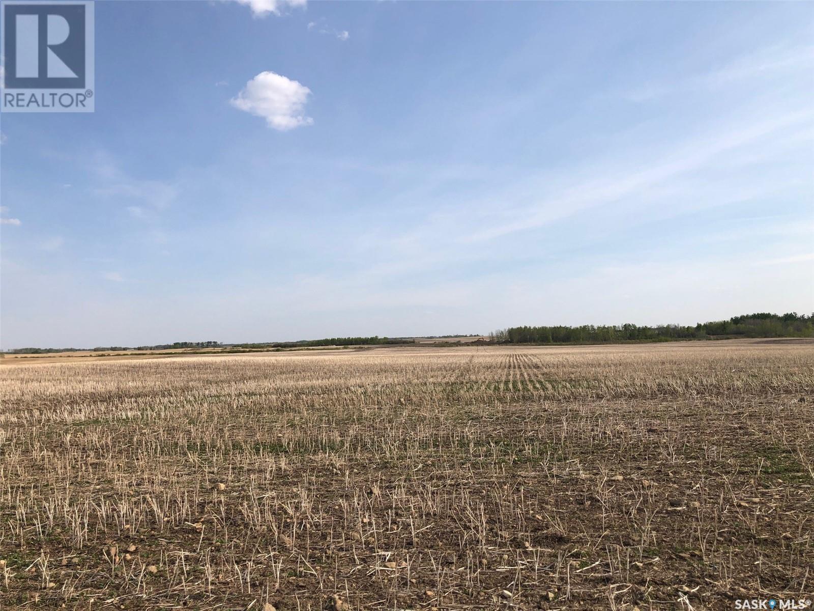 Flower Farm, Sasman Rm No. 336, Saskatchewan  S0A 2H0 - Photo 7 - SK007194