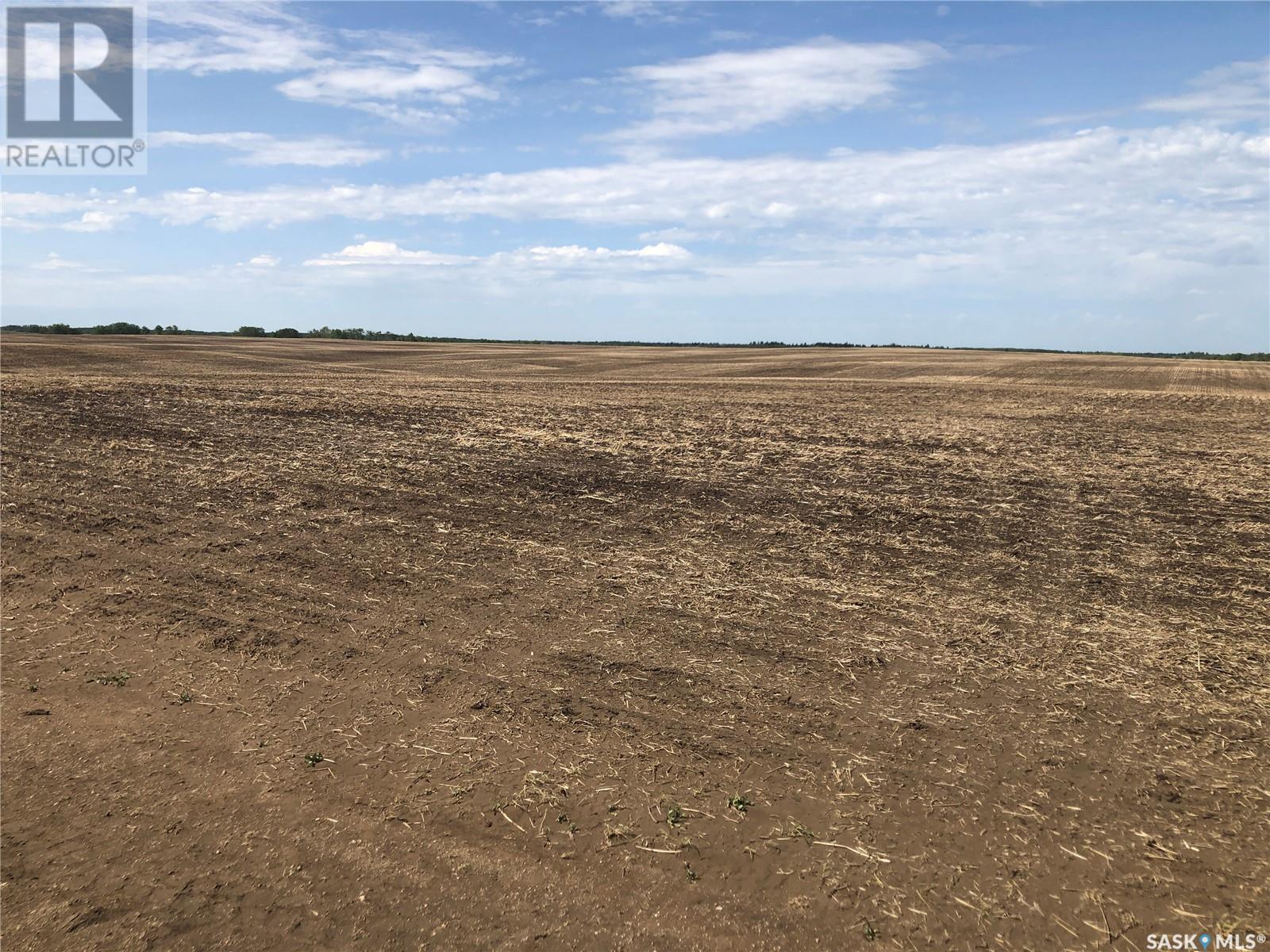 Johnson Farm, Leask Rm No. 464, Saskatchewan  S0J 2A0 - Photo 3 - SK007035