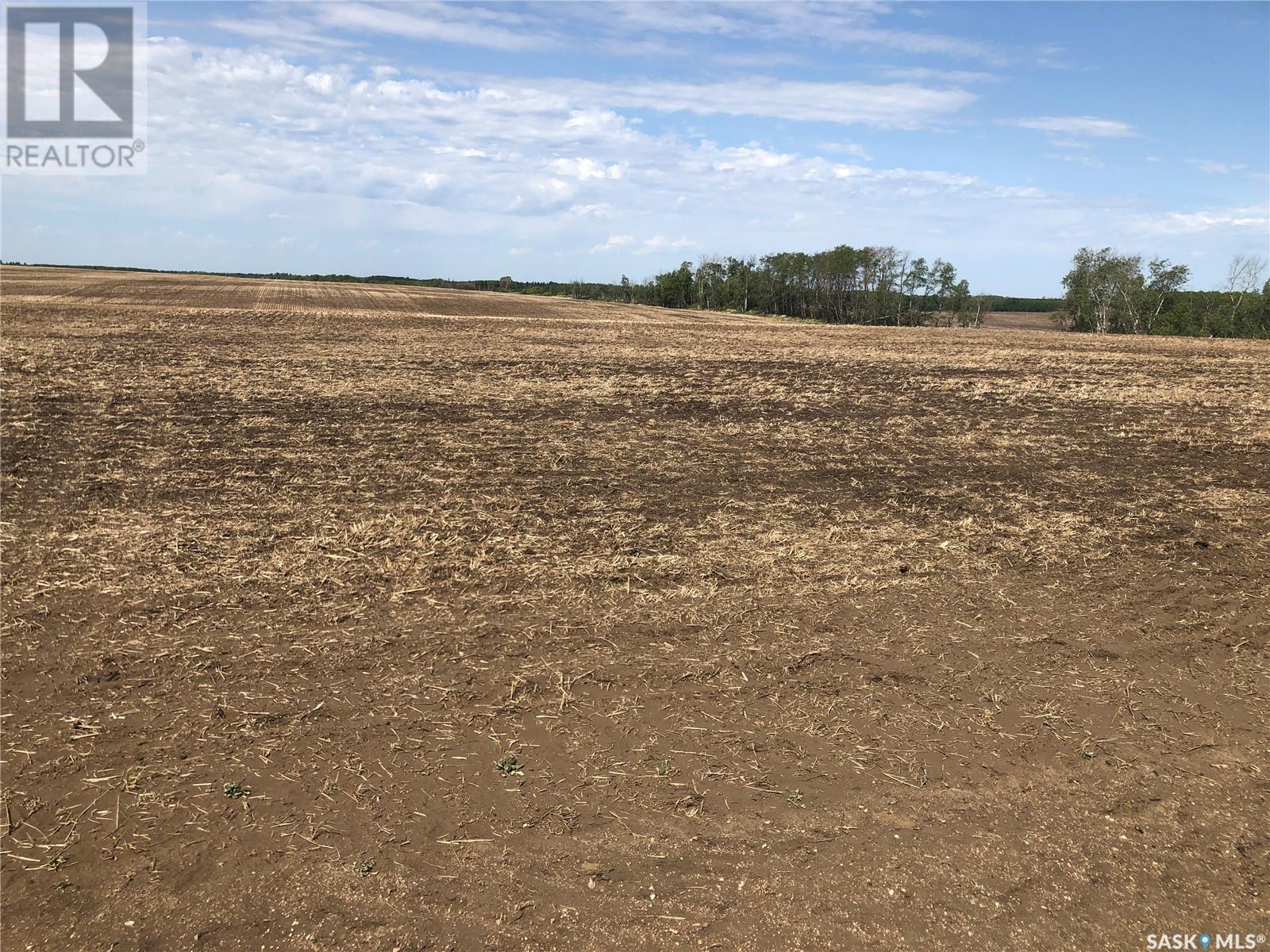Johnson Farm, Leask Rm No. 464, Saskatchewan  S0J 2A0 - Photo 5 - SK007035