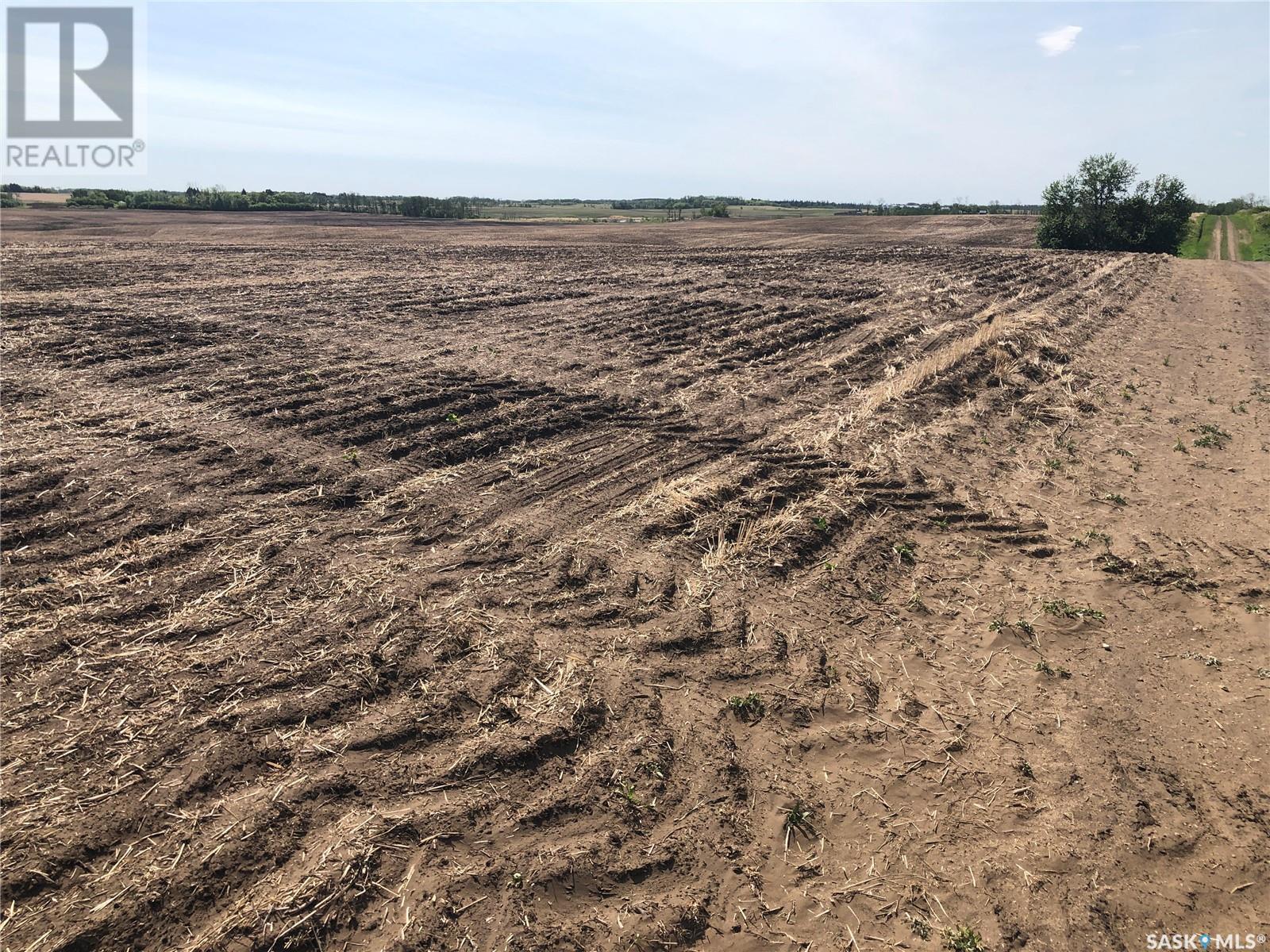 Johnson Farm, Leask Rm No. 464, Saskatchewan  S0J 2A0 - Photo 9 - SK007035